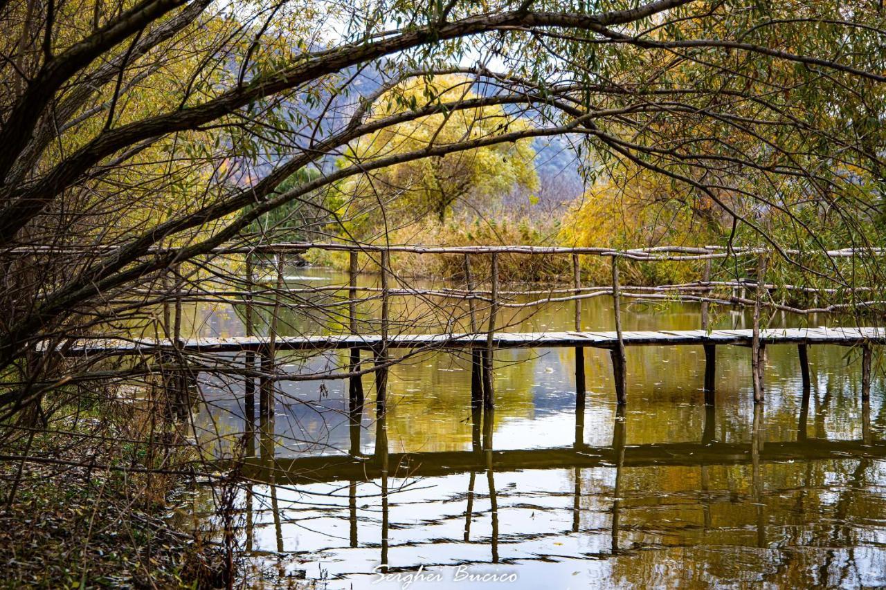 Casa Agricultorului Varzari Butuceny Esterno foto