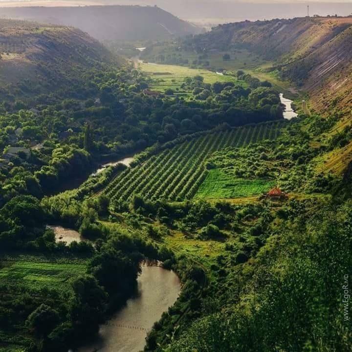 Casa Agricultorului Varzari Butuceny Esterno foto